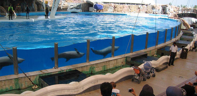 Kish Dolphin Park making use of Geovision IP Cameras